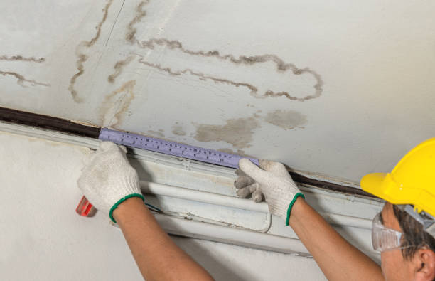 Reliable Mold Remediation contractor in Wilmington, MA by Local Water Damage Repair